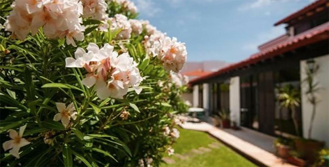 Cancun Luxury Stella Maris Villa By The Sea Exterior foto